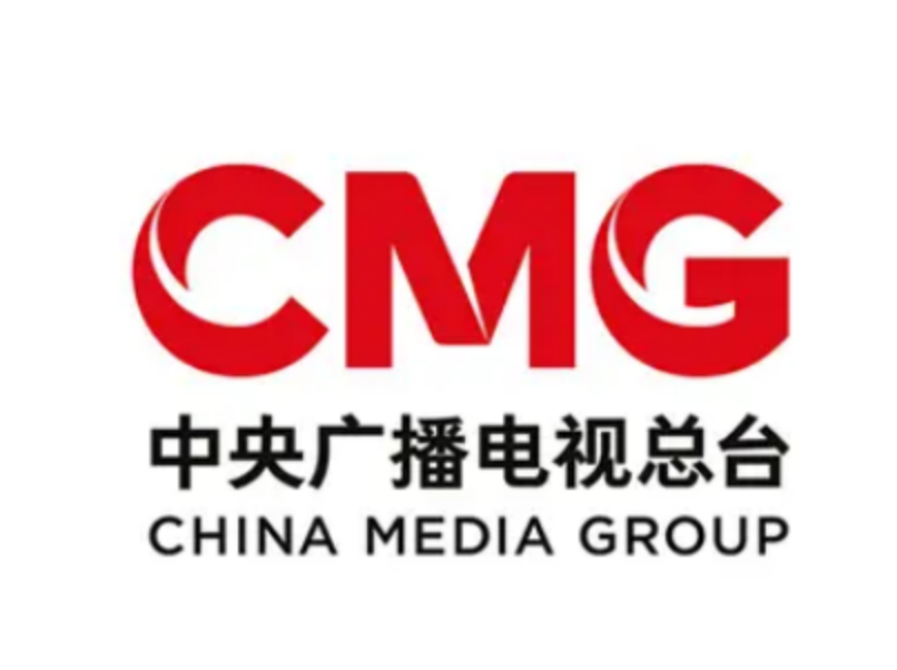 中央廣播電視總臺  專項審計